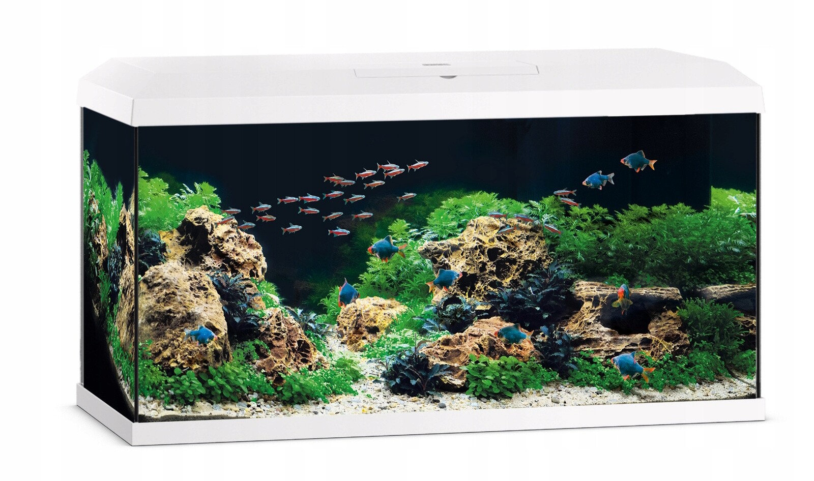 Akvárium Juwel Primo 110 Led 2.0 bílé