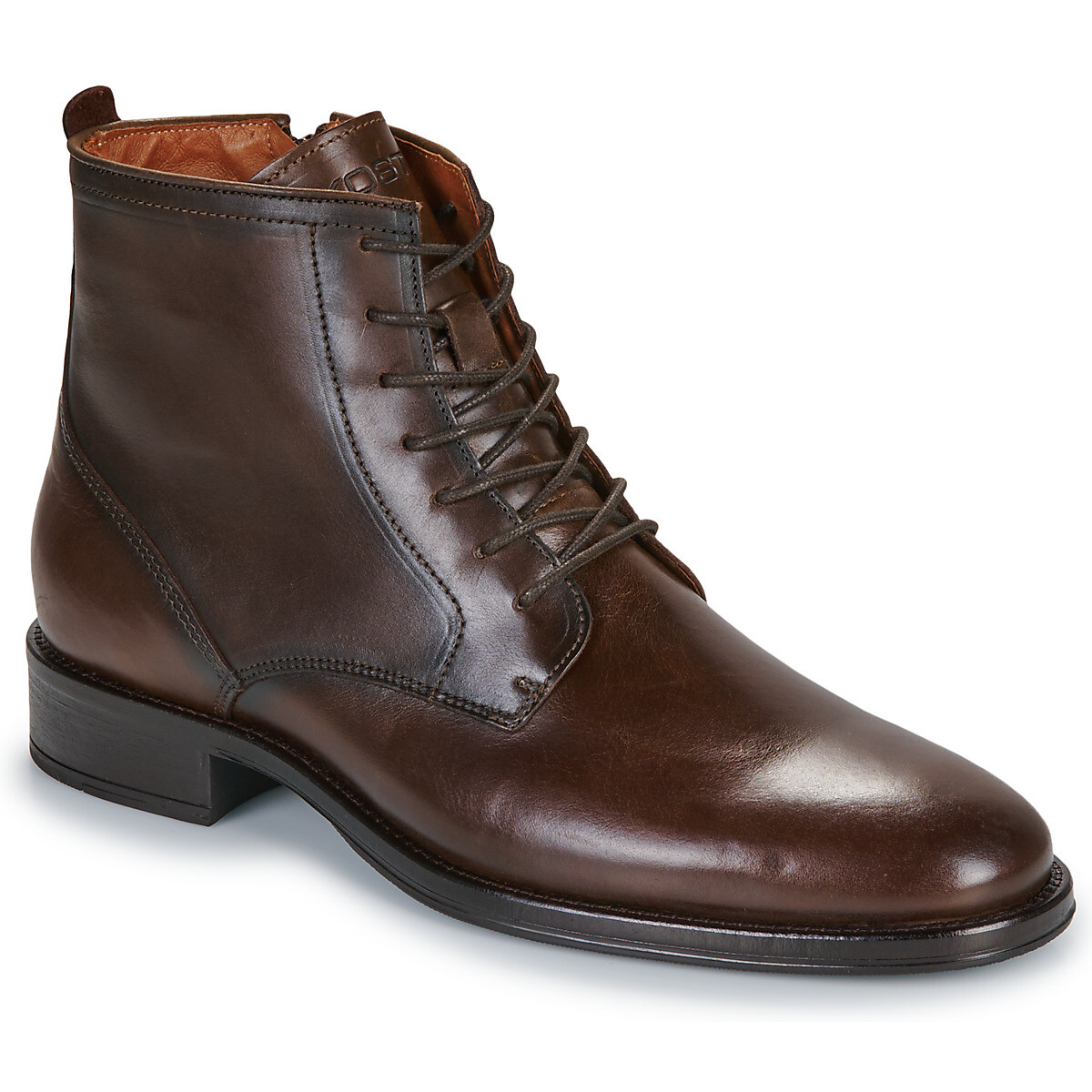 KOST  WILSON B  Hnědá