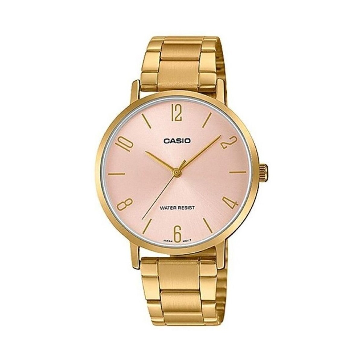 Casio  LTPVT01G4B  ruznobarevne