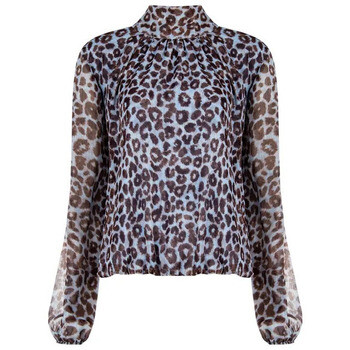 Rinascimento  CFC0127248003  Modrá