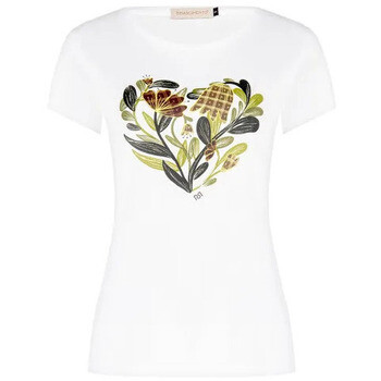 Rinascimento  CFC0127111003  ruznobarevne