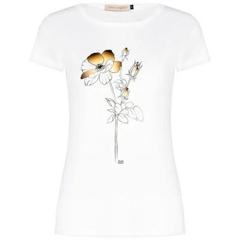 Rinascimento  CFC0127114003  ruznobarevne