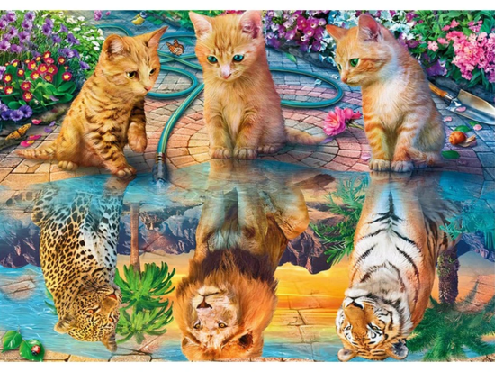 Norimpex Diamantový obrázek - Zrcadlení - 30 x 40 cm - 1004873