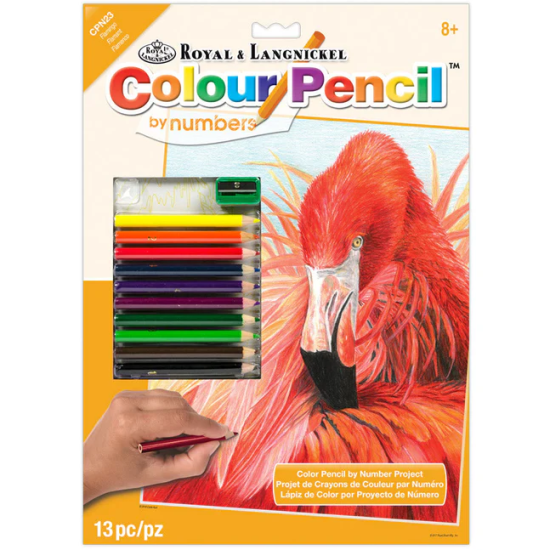 Royal & Langnickel Malování podle čísel pastelkami - Plameňák - CPN2