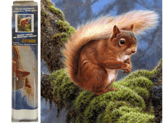 Norimpex Diamantový obrázek - Veverka v lese - 30 x 40 cm - 2000594