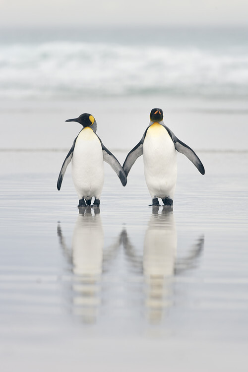 Joan Gil Raga Fotografie Friends, Joan Gil Raga, 26.7 × 40 cm