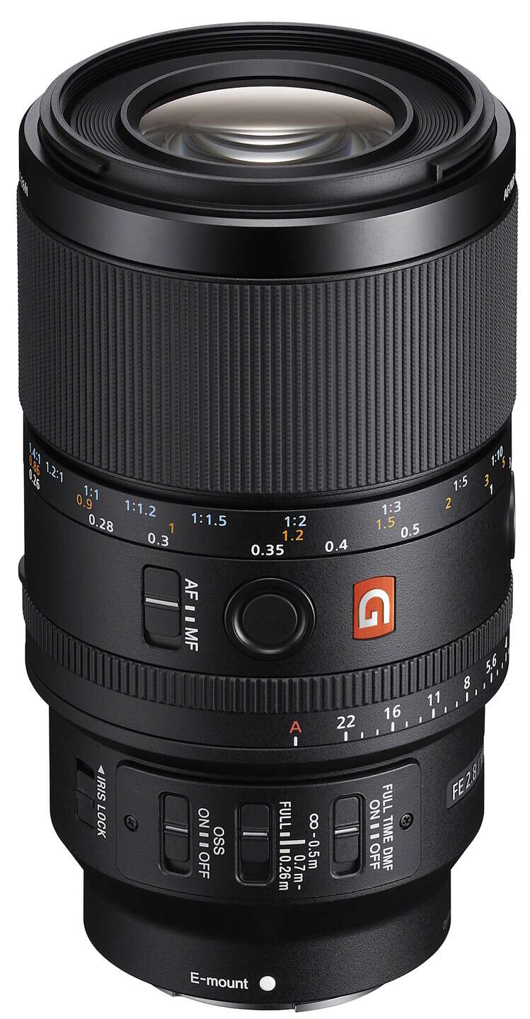 Sony FE 100 mm f/2,8 Macro GM OSS