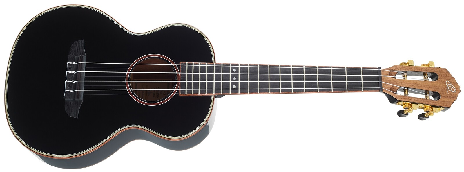 Ortega RUOX-TE (použité)