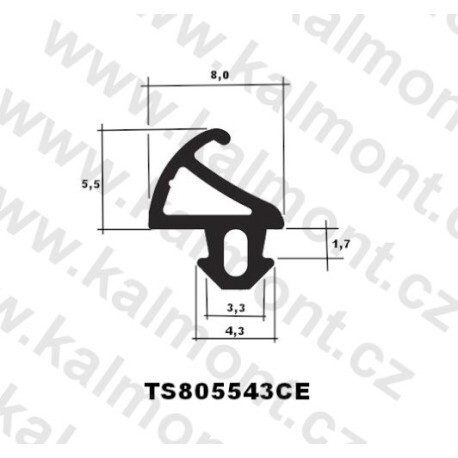 Těsnění na plastové okno a dveře černé TS805543CE (M)