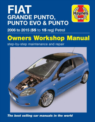Fiat Grande Punto, Punto Evo and Punto Petrol (06 - 15) Haynes Repair Manual - Randall Martynn