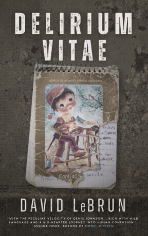 Delirium Vitae - David LeBrun