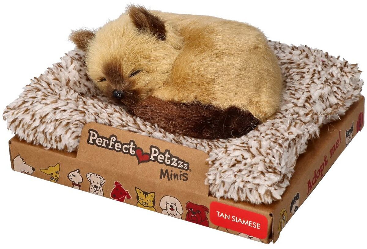 Perfect Petzzz Malé siamské kotě
