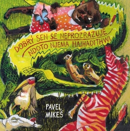 Dobrý sen se neprozrazuje 100 svahilských přísloví