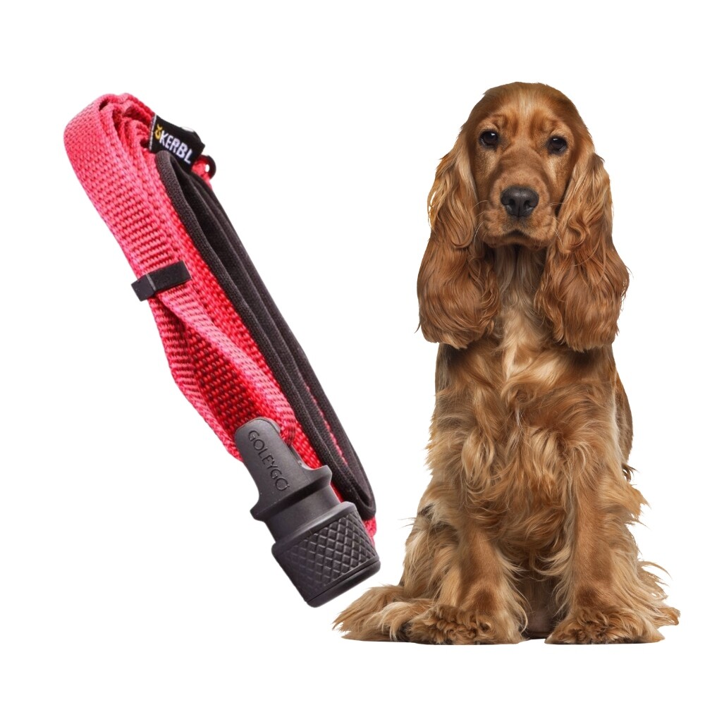 Bezpečnostní Vodítko Go Ley Go s magnetickým popruhem S do 15 kg, červené