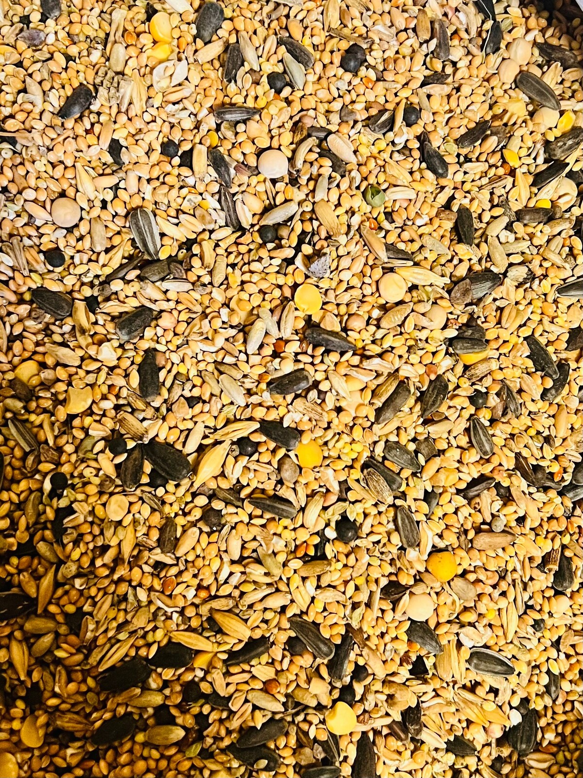 Směs O-mix jemný Kampol 25 kg pro holuby a divoké ptáky