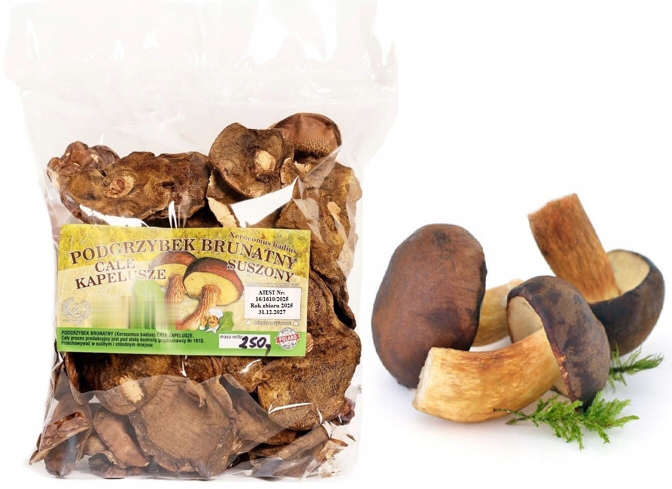 Podhoubek Klobouky 250g Nová Sbírka 2025 Polský Atest sušené lesní houby