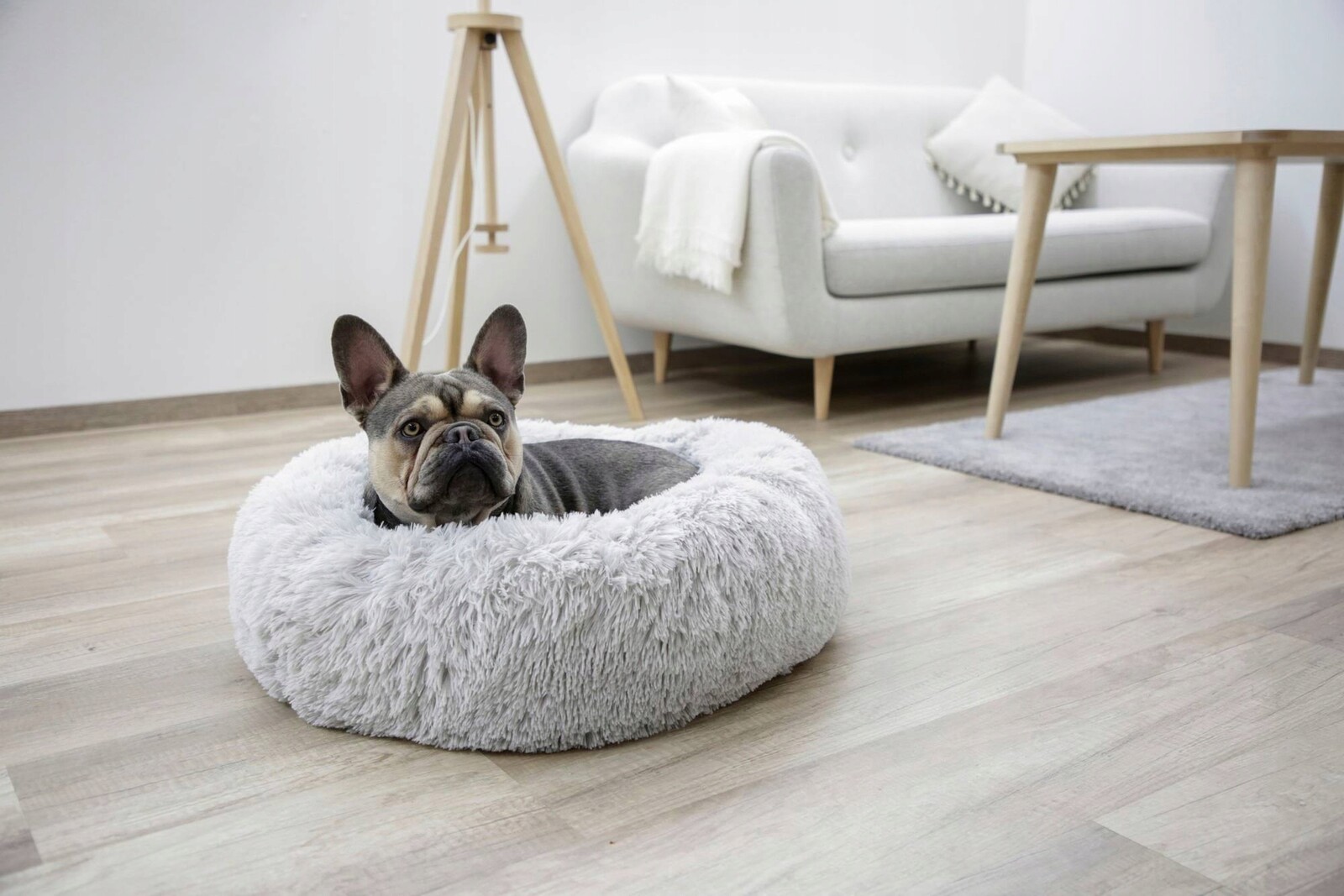 Pelíšek pro psy, světle šedý, 19 cm Ø 76 cm, Kerbl