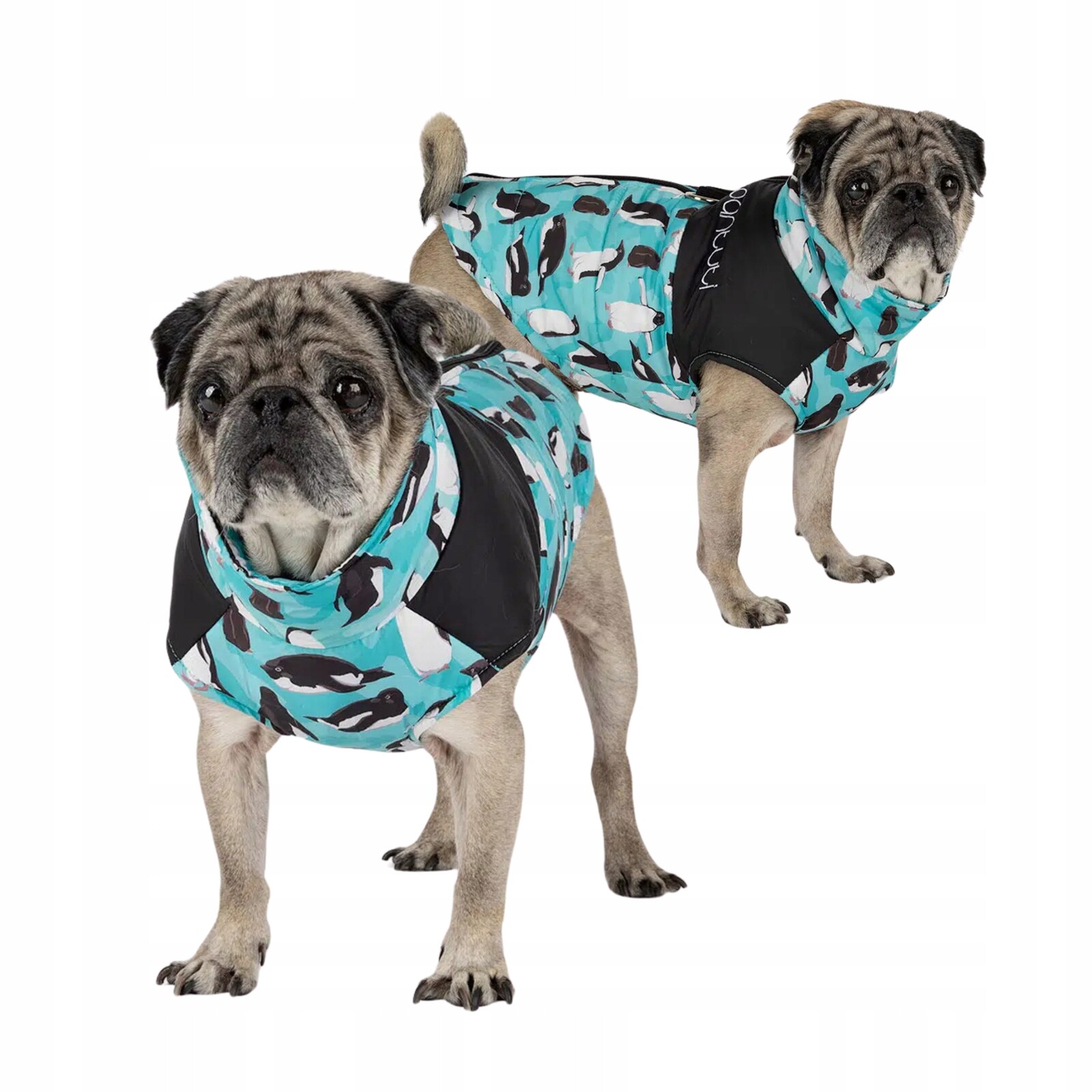 Bunda pro psa se zapínáním na zádech u tučňáků Zipper Otto XL