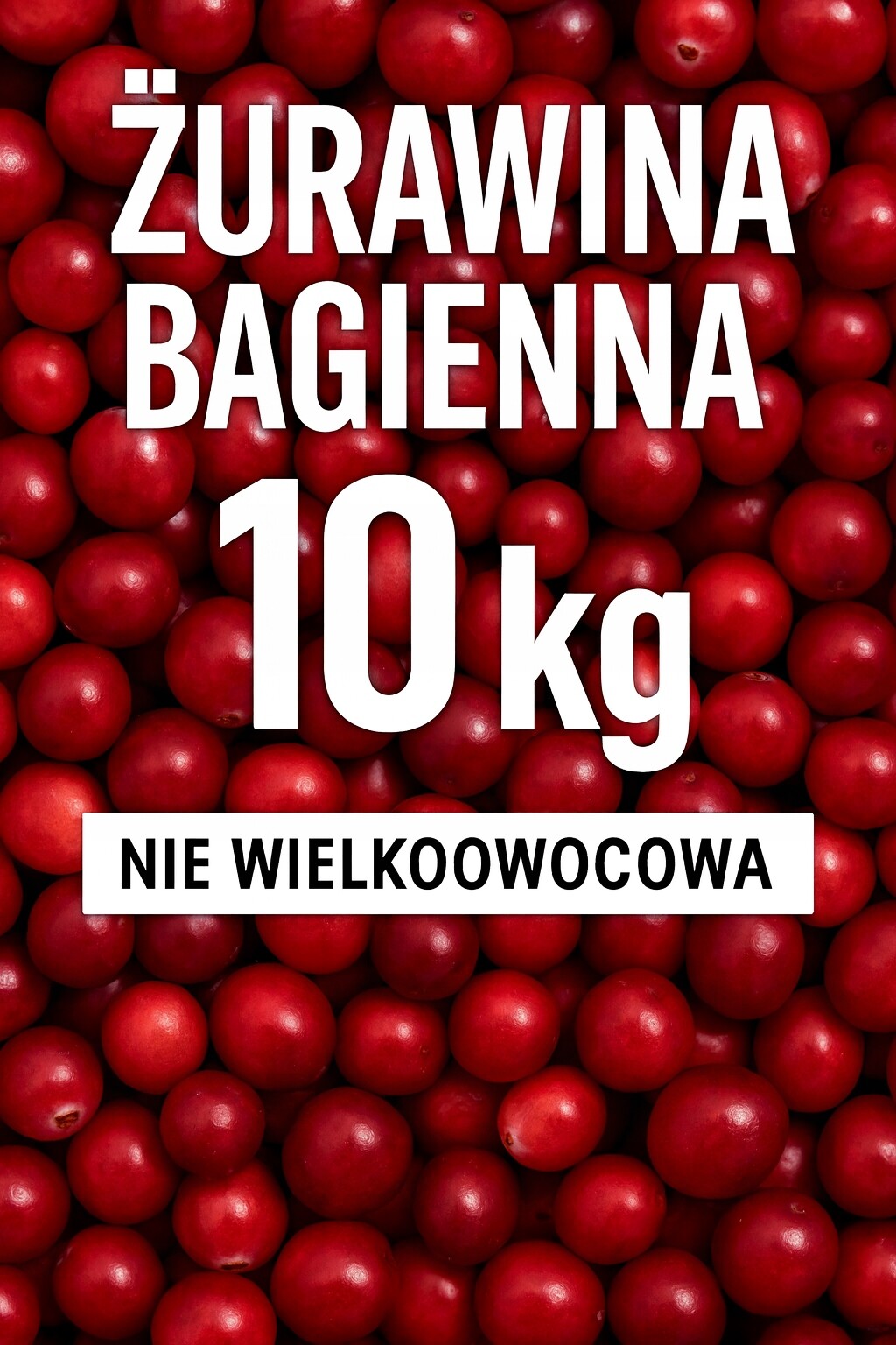 Brusinky čerstvá bažinatá bahenní Lesní 10 kg