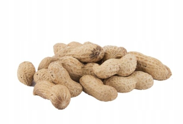 Arašídy – arašídy ve skořápce 2 kg