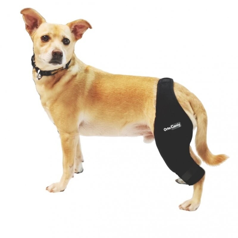 Pravá kolenní ortéza s lištou Ortocanis [velikost L]