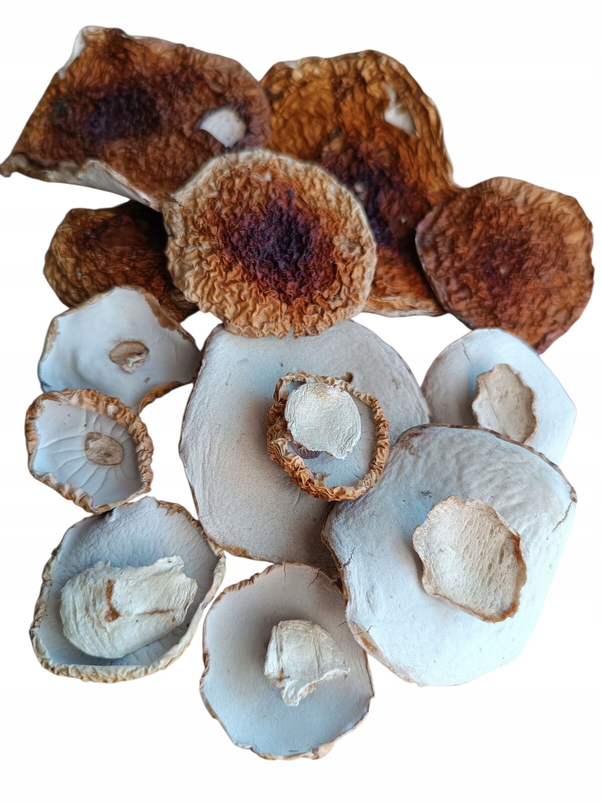 Borovik Bílý Sušený Pravdíček 500 g, podlaské klobouky, Atest