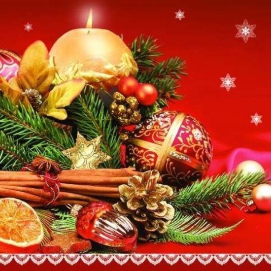 POL-MAK Vánoční ubrousky Daisy L - Christmas Spices - SD_GW_005201