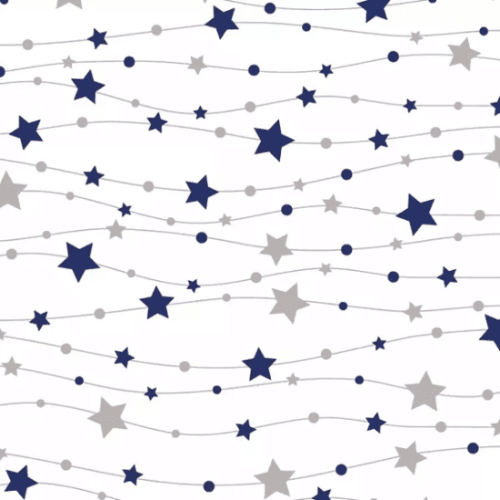 POL-MAK Vánoční ubrousky Daisy L - Little Stars Navy & Silver - SD_GW_021402