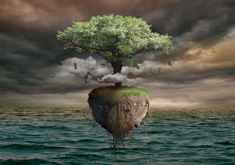 Radoslav Penchev Fotografie Flying tree, Radoslav Penchev, 40 × 26.7 cm