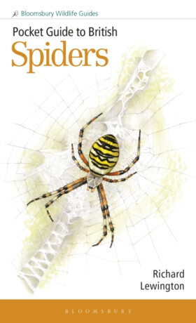 Pocket Guide to British Spiders -  (Lewington Richard)(Paperback / softback)