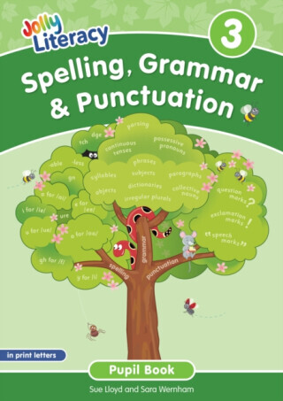 Spelling, Grammar & Punctuation Pupil Book 3 - Sara Wernham, Sue Lloyd