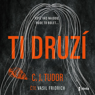 Ti druzí - C. J. Tudorová - audiokniha