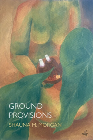 Ground Provisions - Shauna M. Morgan