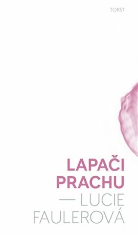 Lapači prachu - Lucie Faulerová - e-kniha