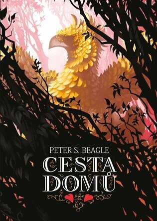 Cesta domů - Peter S. Beagle - e-kniha