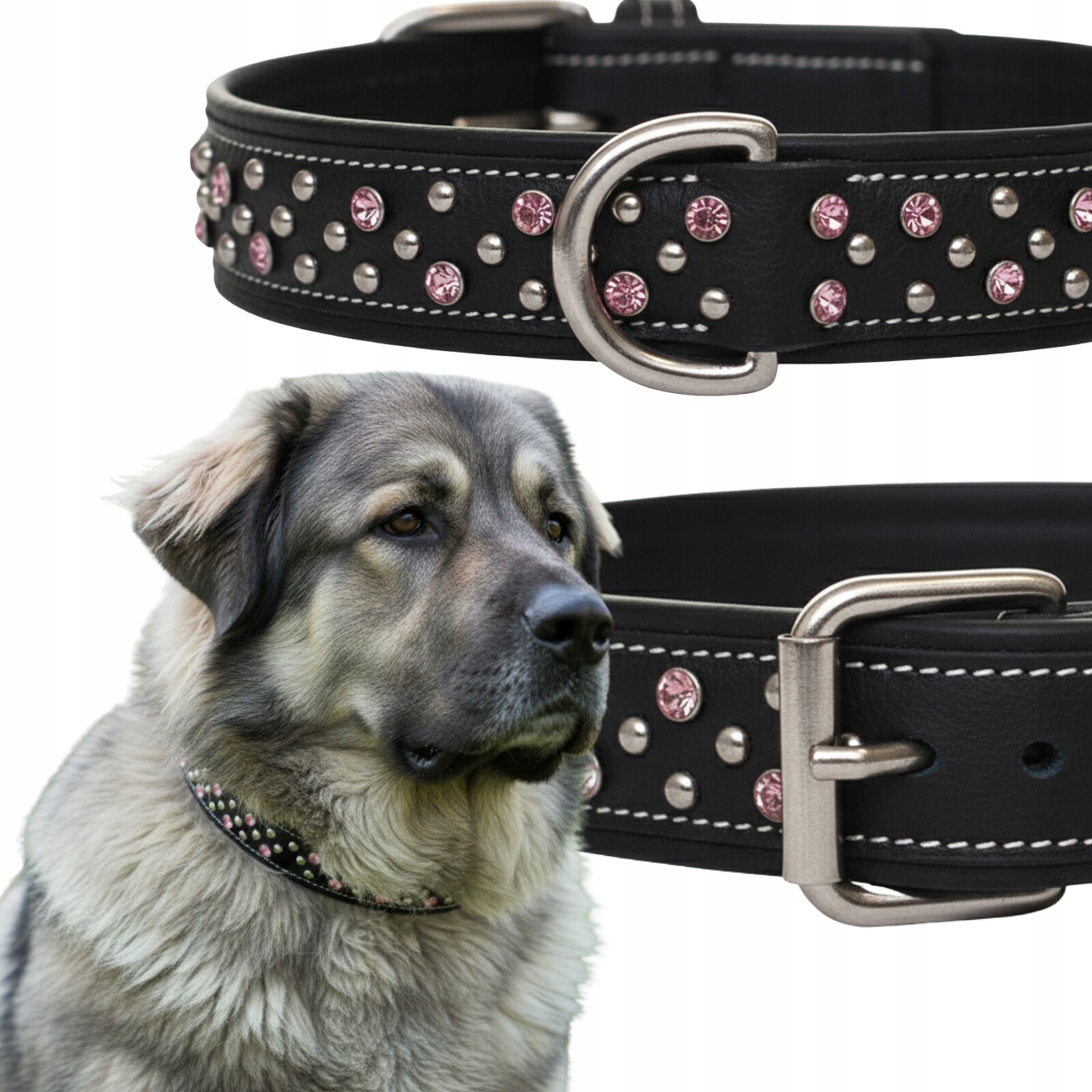 Kožený obojek pro velmi velkého psa XL 3 cm Černá Růže Zirkony Šitý
