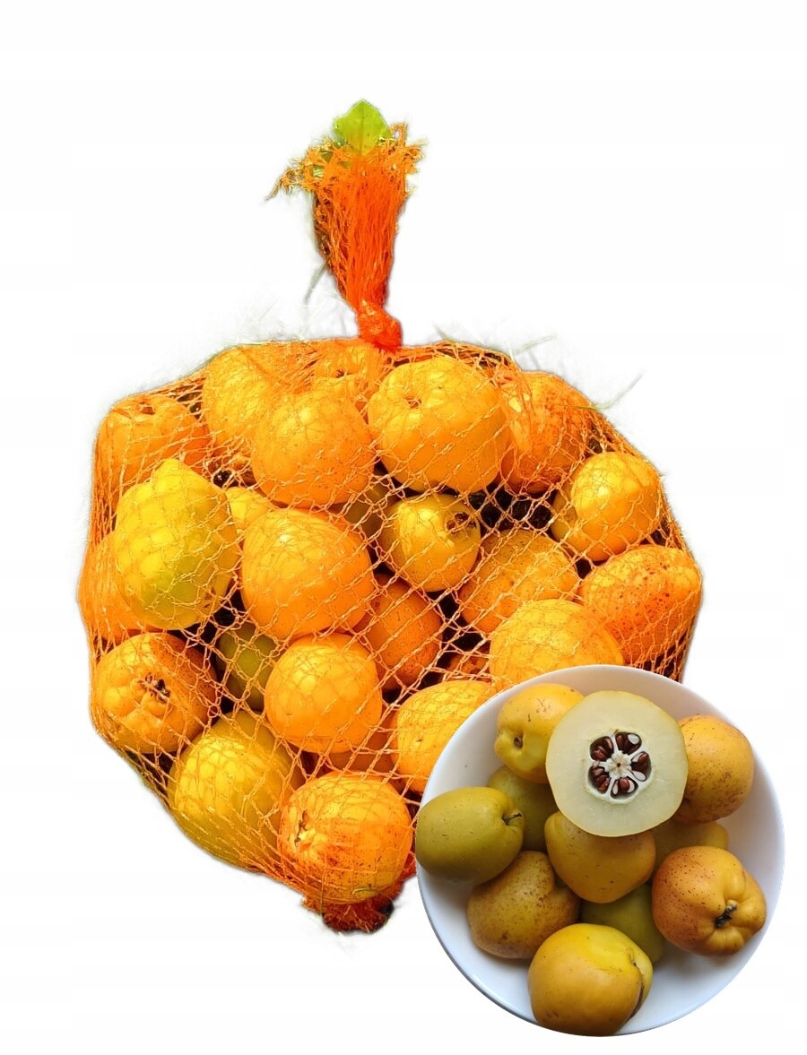 Velký Kdoulovec S Čerstvými Plody Kdoule 5 Kg