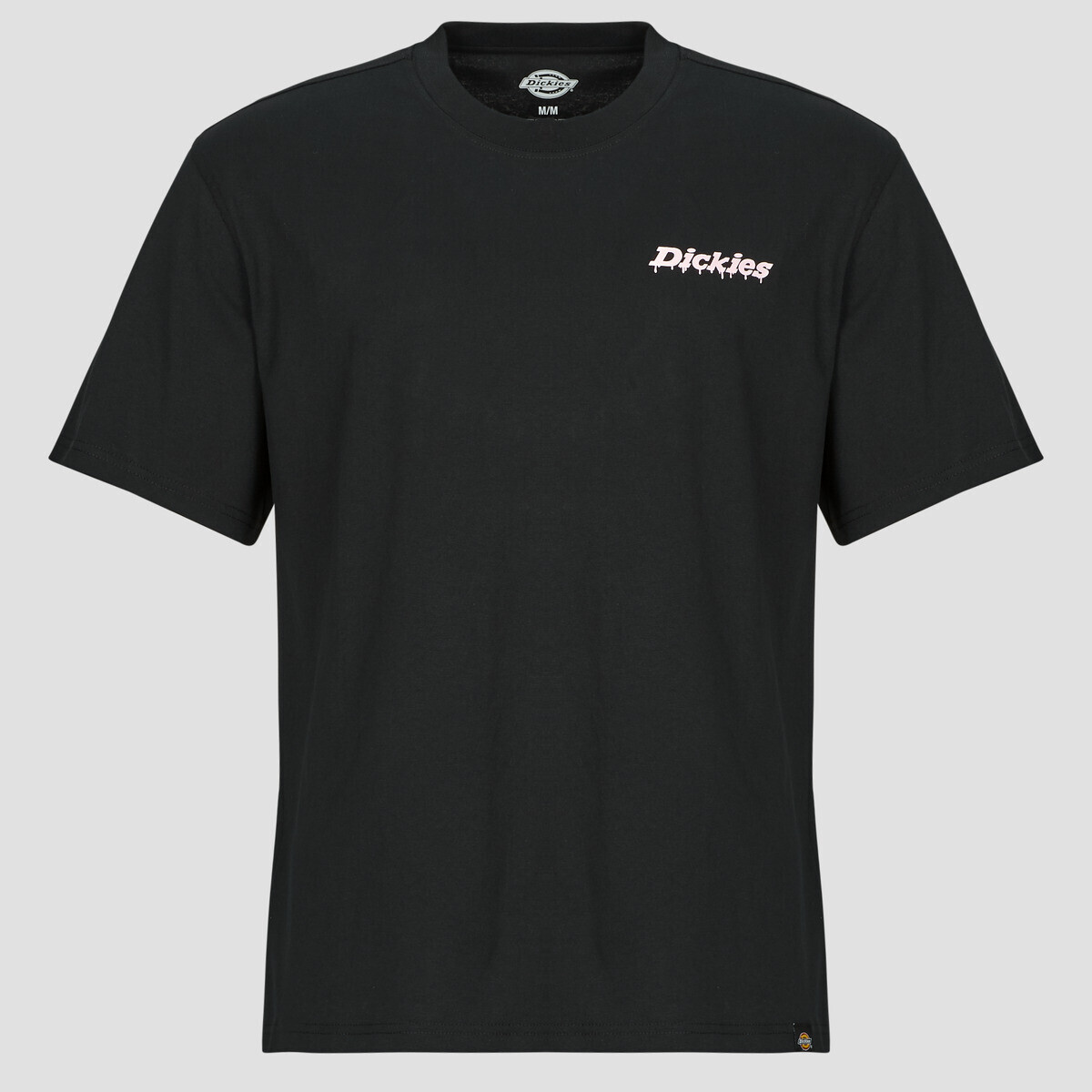 Dickies  STATESVILLE TEE SS BLACK  Černá
