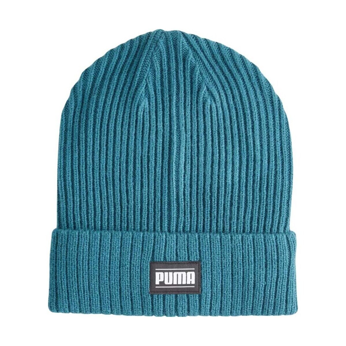 Puma  02403811  Modrá