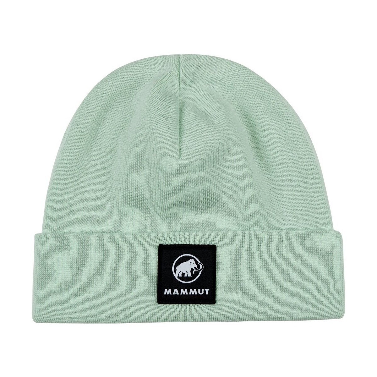 Mammut  Fedoz  Zelená