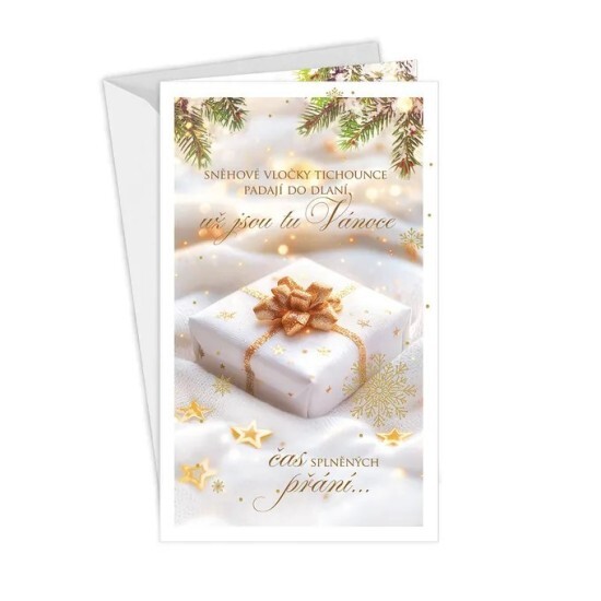 Argus Vánoční přání - 11-6575c