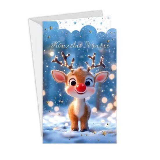 Argus Vánoční přání - 11-6572c