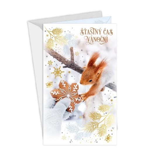 Argus Vánoční přání - 11-6559c