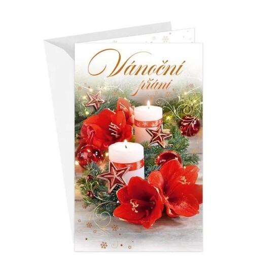 Argus Vánoční přání s kapsou na peníze - 11-6526c