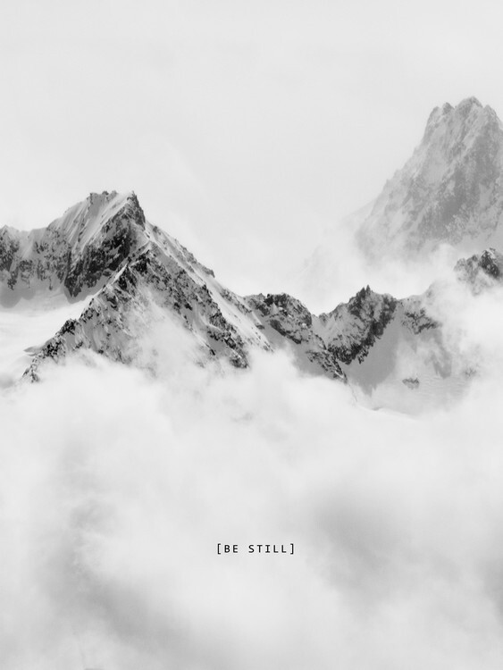 Finlay & Noa Plakát, Obraz - bestill1, Finlay & Noa, 30 × 40 cm