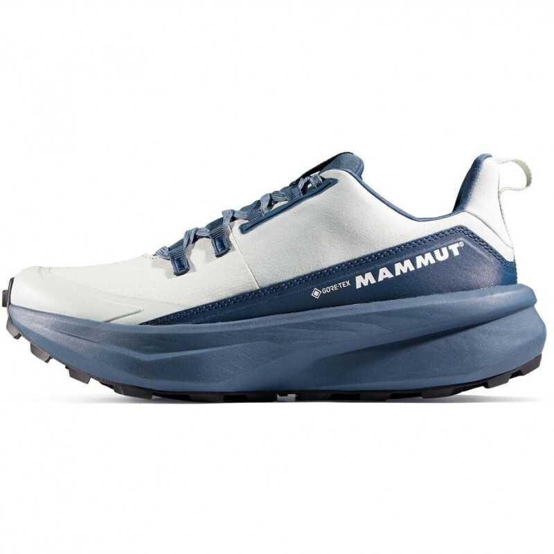 Mammut Aenergy Hike Low GTX 8 Silver sage