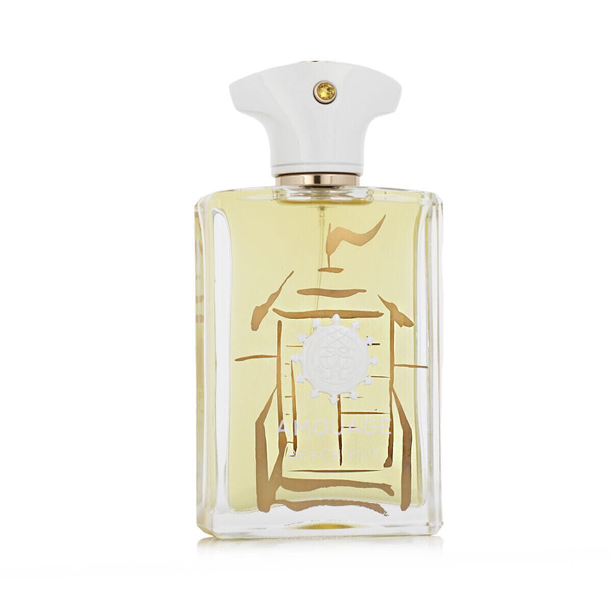 Amouage Beach Hut Man 100 ml parfémovaná voda pro muže