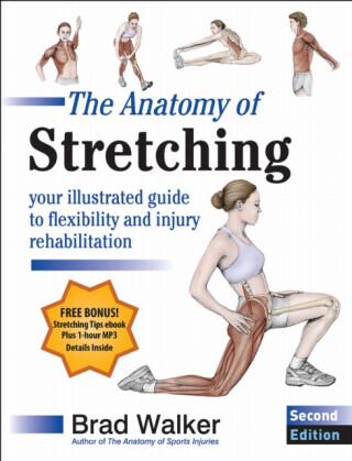 The Anatomy of Stretching - Brad Walker
