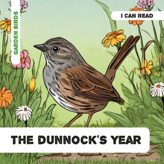The Dunnock's Year - Caroline Petherbridge