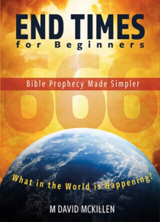 End Times for Beginners - M David McKillen